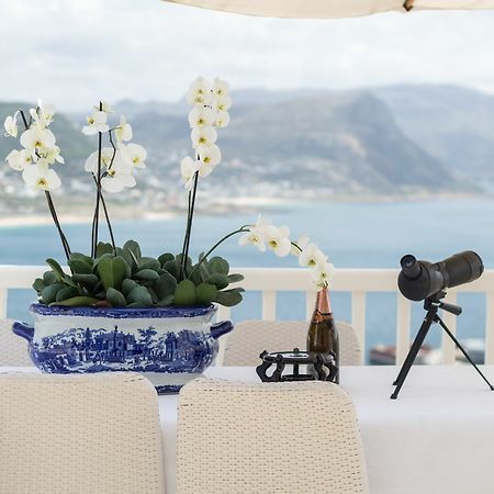 Penguin Palace Simonʼs Town Eksteriør bilde